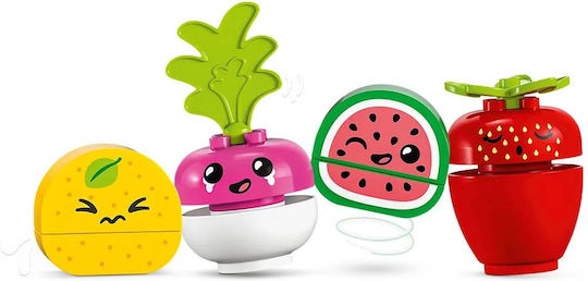 xlarge_20230124133914_7248f79c